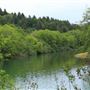 Navarro River Redwoods State Park (SP)
