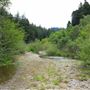 Navarro River - located in Hendy Woods State Park (SP)