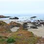 Haul Road Coastal Trail (MacKerricher State Park)