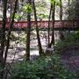 Alliance Redwoods Conference Grounds