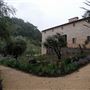 Blue Rock Vineyard