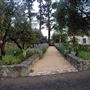 Blue Rock Vineyard