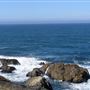 Bodega Bay Coast