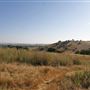 Crane Creek Regional Park