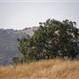 Crane Creek Regional Park