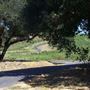 Davis Bynum Winery