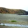 Sandy Cove Beach @ Fort Ross State Historic Park (SHP)