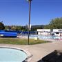 Honeybee Park and Pool