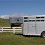 J G Angus Ranch