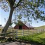 J G Angus Ranch
