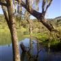 Lake Sonoma