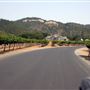 Ledson Winery