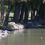 Roberts Lake