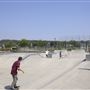 Pat Elsbree Skatepark