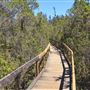 Van Damme State Park (SP) / Beach / Pygmy Forest / Fern Canyon Trail / Spring Ranch Trail