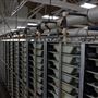 Coleman National Fish Hatchery