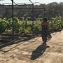 Old Creek Ranch Winery