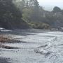 Buckhorn Cove