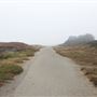 MacKerricher State Park (SP)
