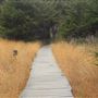 Belinda Point Public Access Trail