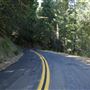 Mountain View Road