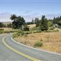 Mountain View Road