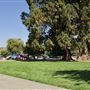 Willits City Park