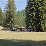Jackson Demonstration State Forest Camp 20 Recreation Area