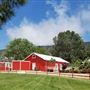 Freedom Ranch - Shadowlands Foundation - Wolves in California