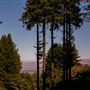 Mountain Terrace, The