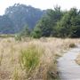 Belinda Point Public Access Trail