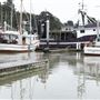 Noyo Harbor District