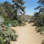 Devil's Punchbowl