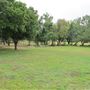 Frank G. Bonelli Regional Park / Puddingstone Reservoir