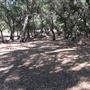 Placerita Canyon State Park (SP) / Placerita Canyon Natural Area / Placerita Nature Center