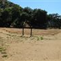 Placerita Canyon State Park (SP) / Placerita Canyon Natural Area / Placerita Nature Center