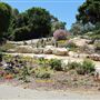 South Coast Botanic Garden