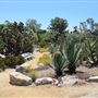 South Coast Botanic Garden