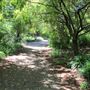 South Coast Botanic Garden