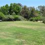 South Coast Botanic Garden