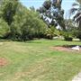South Coast Botanic Garden