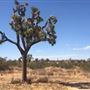 Yucca Valley Scenic Overlook
