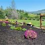 Luna Lavender Farms