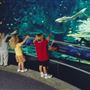 Aquarium of the Pacific & Parking Structure - Long Beach