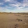 Roughout Ranch