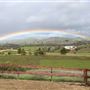 Rancho Deeluxe - Paso Robles - San Luis Obispo County