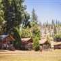 Camp Tawonga