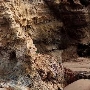 Divers Cove Dive Site
