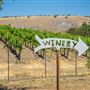 Oreana Winery & Vineyard - Fisco