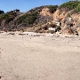 El Pescador State Beach @ Robert H. Meyer Memorial State Beach (SB) - CFC